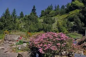 Rennsteiggarten Oberhof, Programm für Gruppenreisen im Thüringer Wald