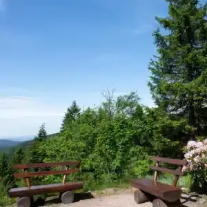 Rennsteiggarten, Ausflugstipp Hotel Oberhof